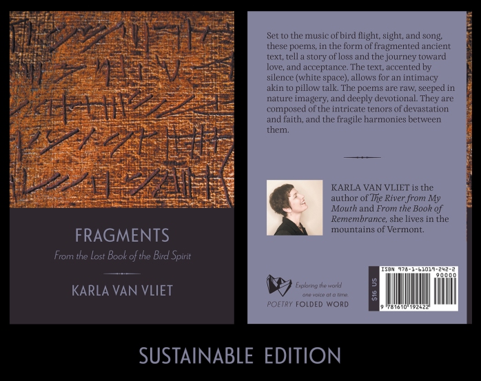 front and back cover of Fragments by Karla Van Vliet